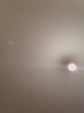 labellerose online show from 11-14-25, 06:11