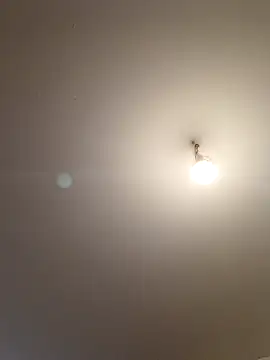 labellerose online show from 04-05-26, 05:19