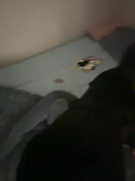 MISA 02 online show from 02-09-26, 10:02