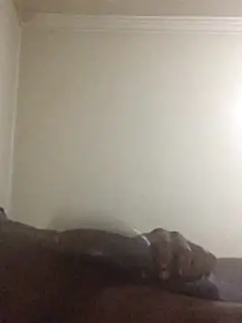 Sahrawi-fhal online show from 10-27-25, 12:44