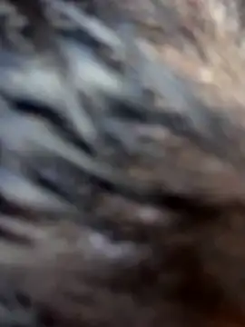 Snapshot of Swweet_Miia1 chatting on 03-01-26, 03:06 Swweet Miia1 online show from 03-01-26, 03:06