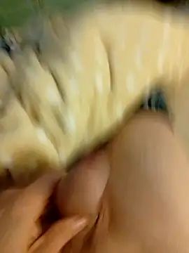 Snapshot of Graimito chatting on 03-03-26, 03:41 Graimito online show from 03-03-26, 03:41