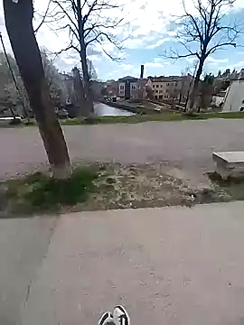 S-meerass online show from 03-17-26, 11:13