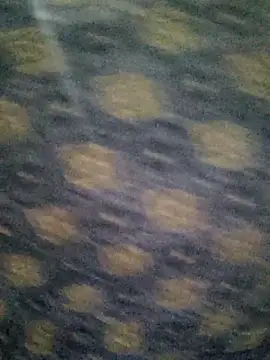 Tanha18 online show from 12-05-25, 07:01