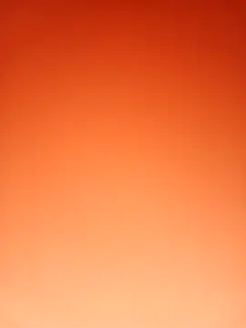 DEWOLT18 online show from 11-01-25, 04:56