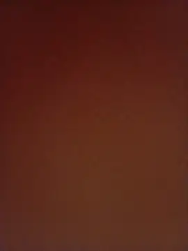 Haseena begam00 online show from 11-01-25, 06:57