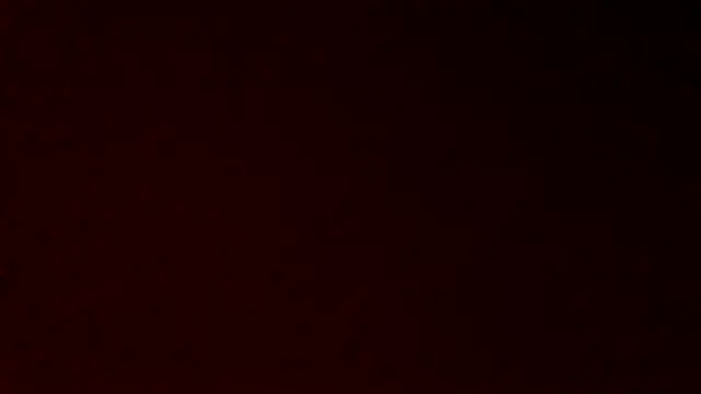 Snapshot of gatitachilena2 chatting on 04-23-26, 03:35 gatitachilena2 online show from 04-23-26, 03:35