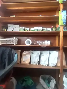 szabi1995 online show from 01-10-26, 08:09