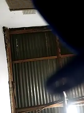 MyGuy352 online show from 12-01-25, 05:36