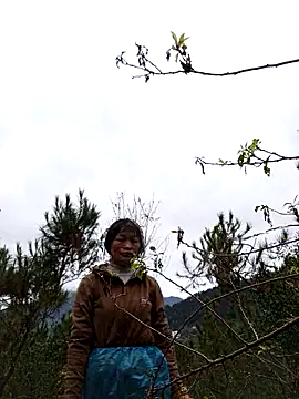 siusiu-00 online show from 11-19-25, 12:54