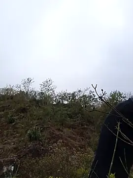 siusiu-00 online show from 01-09-26, 02:51