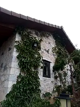 siusiu-00 online show from 04-01-26, 08:26