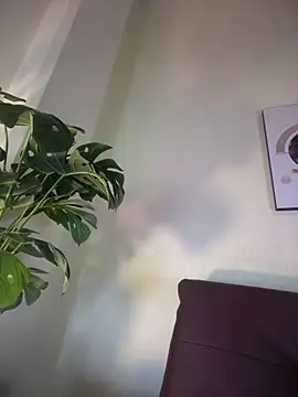 NovaFoxx online show from 02-15-26, 01:54