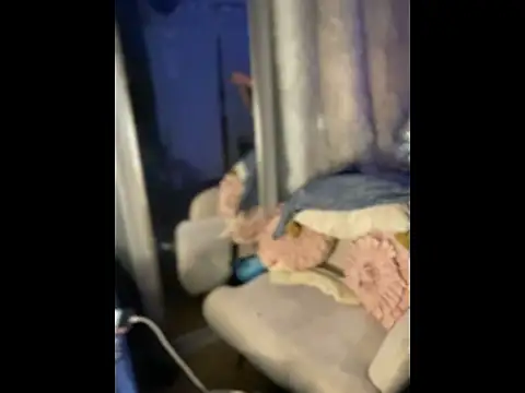 queenkelly1234 online show from 04-10-26, 09:44