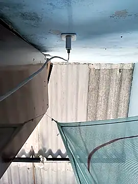 Snapshot of RennySem chatting on 11-01-25, 05:40 RennySem online show from 11-01-25, 05:40