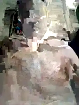 indianpink hub online show from 04-25-26, 03:31