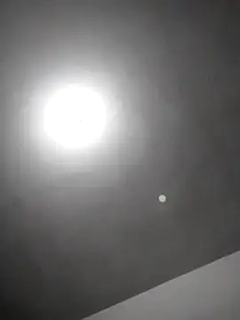 Snapshot of checheludo23 chatting on 02-25-26, 12:22 checheludo23 online show from 02-25-26, 12:22