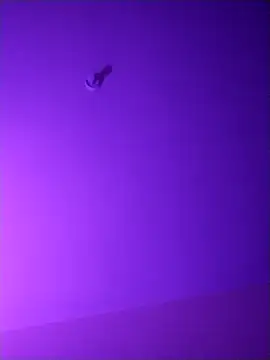 checheludo23 online show from 04-16-26, 11:11