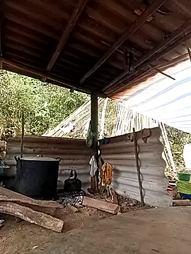 -Kem-01 online show from 02-26-26, 05:18