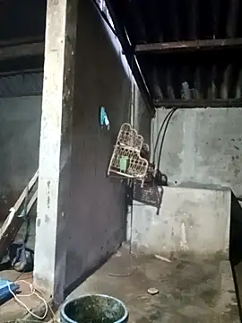 Myzak- online show from 03-22-26, 11:23