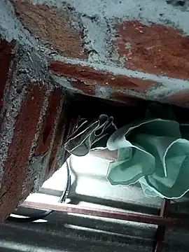 Rajni chauhan online show from 11-04-25, 07:06