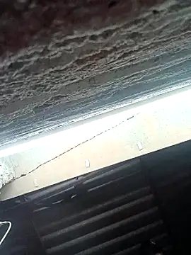 Rajni chauhan online show from 02-23-26, 06:52