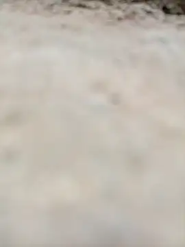 Rajni chauhan online show from 10-31-25, 11:55