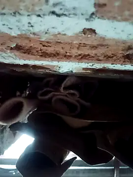 Rajni chauhan online show from 02-01-26, 04:27