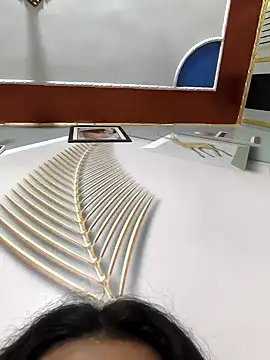 Anshika1431 online show from 11-22-25, 04:55