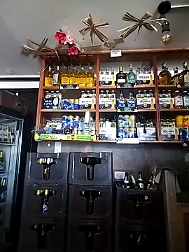 catalella16 online show from 02-05-26, 04:47