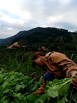 omai-ngot online show from 11-22-25, 09:19