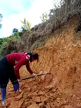 omai-ngot online show from 11-06-25, 01:20