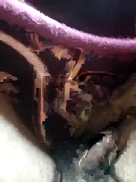 Snapshot of Soumyajit129ommk chatting on 12-04-25, 02:43 Soumyajit129ommk online show from 12-04-25, 02:43