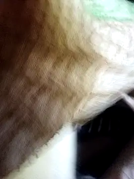 Snapshot of Soumyajit129ommk chatting on 11-11-25, 03:01 Soumyajit129ommk online show from 11-11-25, 03:01