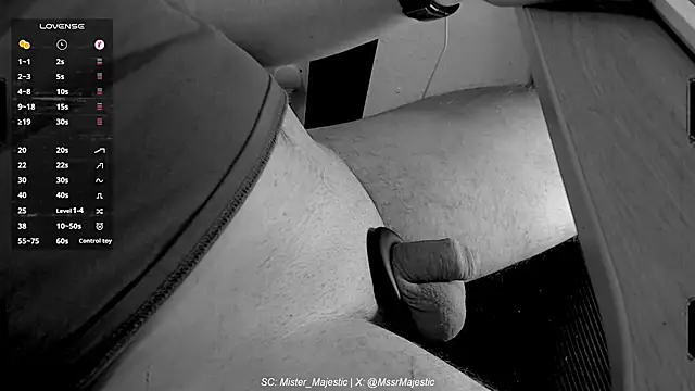 Mister Majestic online show from 12-01-25, 04:08