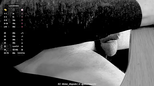 Mister Majestic online show from 11-19-25, 03:45