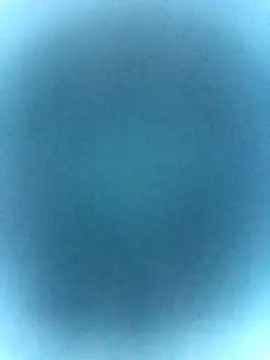 tabby-cat11 online show from 02-19-26, 02:47