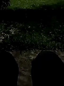 roludao fun online show from 11-10-25, 10:48