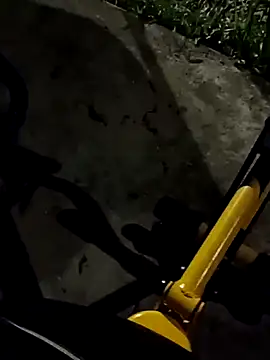 roludao fun online show from 11-11-25, 10:58