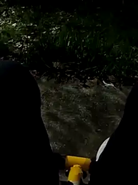 roludao fun online show from 11-27-25, 12:00