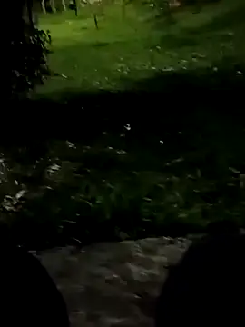 roludao fun online show from 11-03-25, 10:24