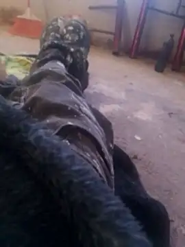 Orlao25cm online show from 11-08-25, 01:58