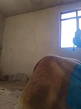 Orlao25cm online show from 11-09-25, 01:59