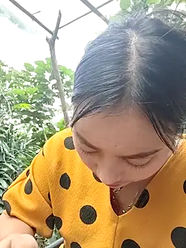 Sinhlinh2020 online show from 11-06-25, 02:59