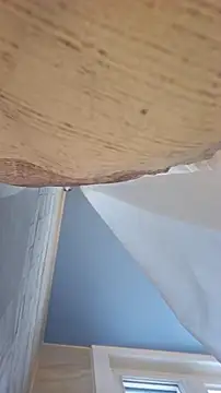 Sexecochon online show from 12-22-25, 01:55