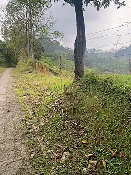 motomotoboy online show from 03-05-26, 06:48