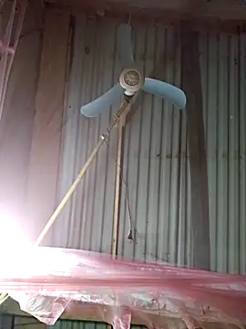 Squirrel-Pear online show from 12-04-25, 12:26