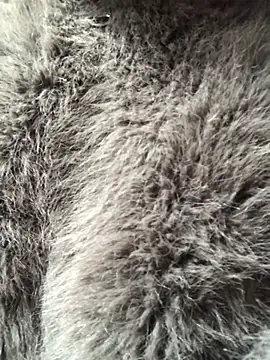 Kylie beem online show from 02-10-26, 03:27