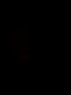 oraharoncohen online show from 10-31-25, 11:11