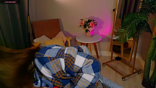 fairy tara online show from 01-11-26, 09:33